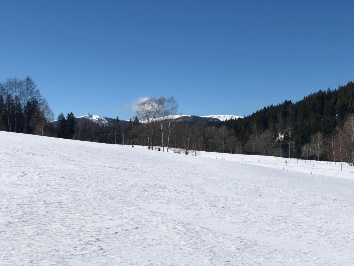 Gaestehaus Lickert Ferienwohnung Sued Feldberg Hinterzarten Exterior photo