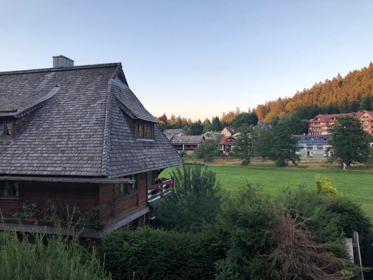 Gaestehaus Lickert Ferienwohnung Sued Feldberg Hinterzarten Exterior photo
